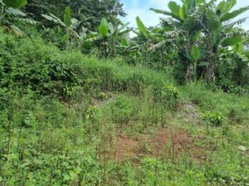 Venta de Lote en Palmares de Alajuela. RAH 26-117 in La Granja, Palmares, Alajuela — $2,000,000 - Photo 5 of 14