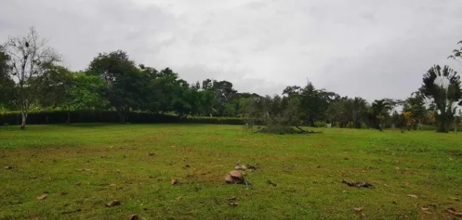 Venta | Quinta de 9.800 m² rodeada de naturaleza sobre Ruta 32 #27-81 GS en Guácimo, Limón — $96,000 - Foto 3 de 11