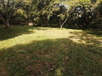 VENTA DE LOTE, USO MIXTO Y ALTA DENSIDAD, ALAJUELA, OROTINA, LA CEIBA en La Ceiba, Orotina, Alajuela — 120 000 000 ₡ - Foto 4 de 15