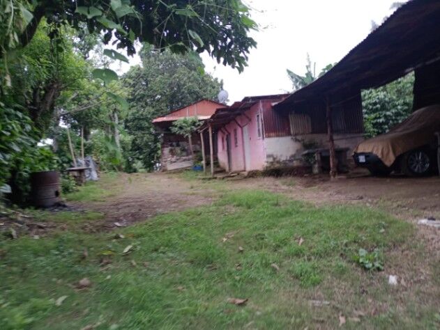 SE VENDE BELLA Y ÚTIL FINCA EN SAN ISIDRO DE ALAJUELA.  en San Isidro, Alajuela — ₡ 150 000 000