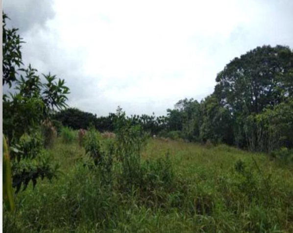 Heredia, Santa Bárbara, San Juan en San Juan, Santa Bárbara, Heredia — $4,600,000 - Foto 3 de 3