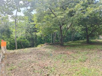 Propiedad 3108 metros  in Santa Cruz, Guanacaste — 27 000 000 ₡ - Photo 4 of 6