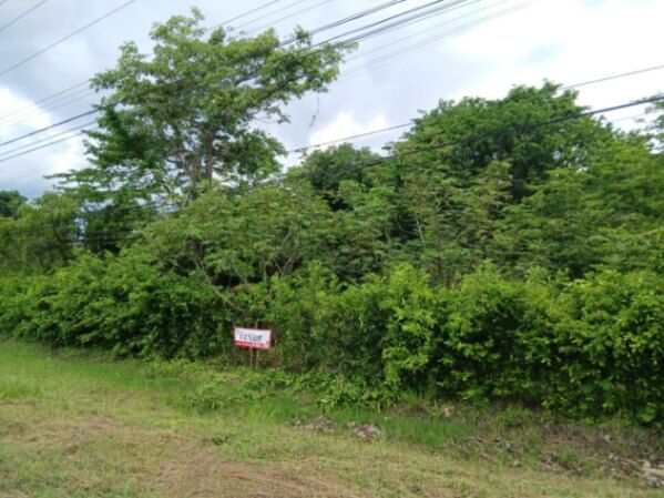 Venta de Lote con Uso de Suelo Mixto en Nicoya de Guanacaste.  in Nicoya, Guanacaste — $235,000