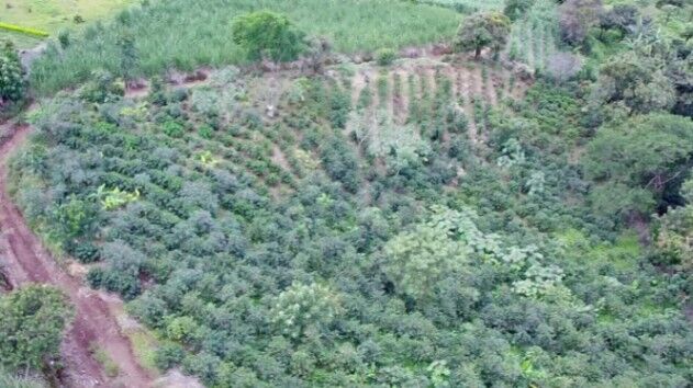 Venta de Lote en Grecia-San Roque, Alajuela. RAH 24-1278 en San Roque, Grecia, Alajuela — $100,000
