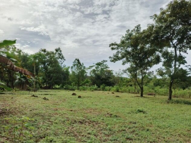 Venta lote en Volcán de Buenos Aires, Puntarenas. RAH 25-1929 in Volcán, Buenos Aires, Puntarenas — ₡ 26 000 000