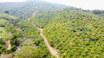 119 Hectare Finca en Rio Nuevo, Perez Zeledon en Río Nuevo, Pérez Zeledón, San José — $1,680,000 - Foto 5 de 11