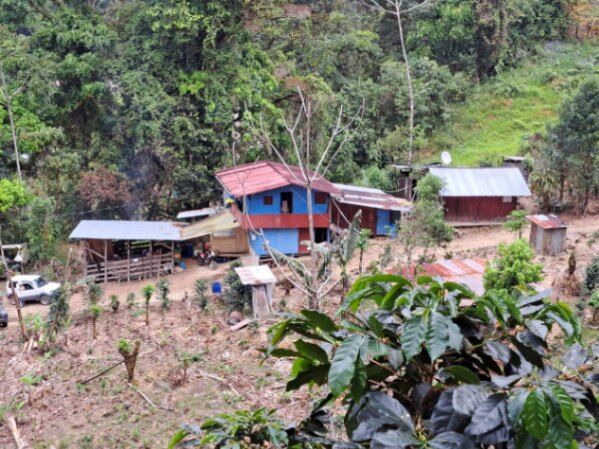 16 HA DE CAFE EN SANTA MARIA DE DOTA en Santa María, Dota, San José — ₡ 320 000 000