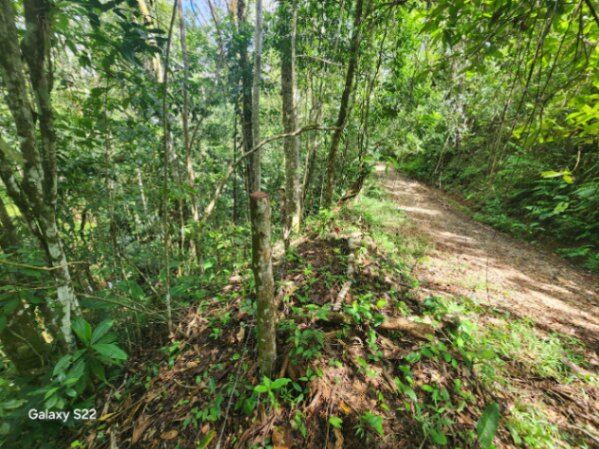 Se vende propiedad de 8 hectáreas  en Carara, Turrubares, San José — ₡ 40 000 000