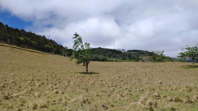 Venta terreno 26.9 ha ideal inversión agro o turística alta proyección #26-1770 GS en Piedades Sur, San Ramón, Alajuela — $1,200,000