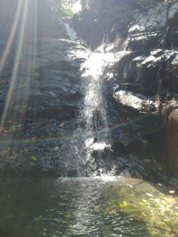 Vendo finca de montaña en Río Grande de Paquera. en Paquera, Puntarenas — $460,000