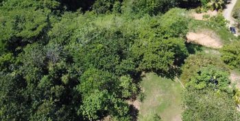 👁INVESTMENT OPPORTUNITY IN UVITA.🌴 in Bahía Ballena, Osa, Puntarenas — $475,000 - Photo 5 of 15