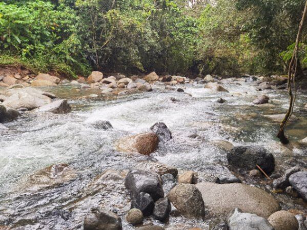 FINCA EN COSTA RICA in Potrero Grande, Buenos Aires, Puntarenas — ₡ 448 000 000