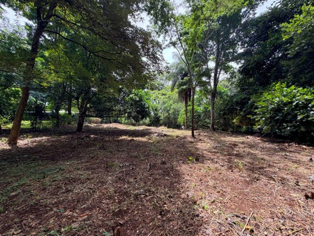 Venta de lotes contiguos en San Mateo de Alajuela in Jesús María, San Mateo, Alajuela — ₡ 35 500 000