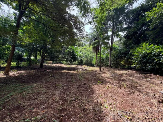 Venta de lotes contiguos en San Mateo de Alajuela in Jesús María, San Mateo, Alajuela — ₡ 35 500 000