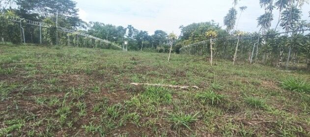 ¿Quieres adquirir una propiedad con un potencial increíble?  in Daniel Flores, Pérez Zeledón, San José — ₡ 95 000 000