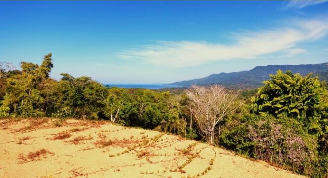 VENTA DE LOTES, PUNTARENAS, OSA, BAHIA BALLENA, DULCE PACIFICO  in Bahía Ballena, Osa, Puntarenas — $175,000