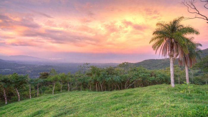 Finca de 463,196m2 91 lotes con casa, finca y area commercial en Atenas, Alajuela — $8,000,008 - Foto 2 de 13