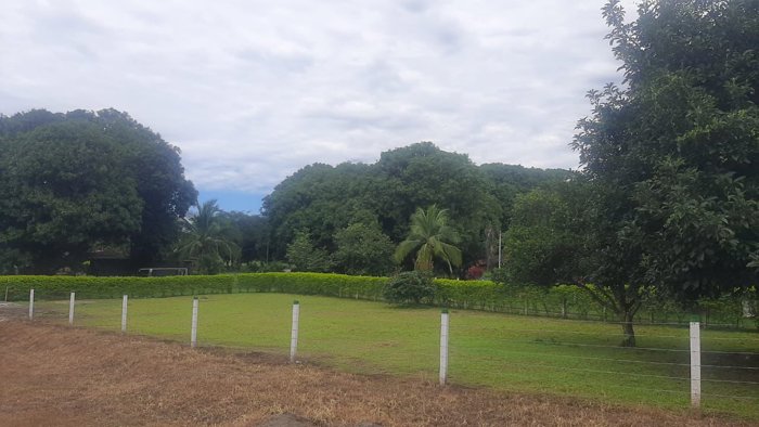 VENTA DE LOTE DE USO MIXTO, ALAJUELA, OROTINA en Orotina, Alajuela — ₡ 55 000 000