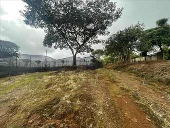 Land For Sale Carrizal, Alajuela, Alajuela