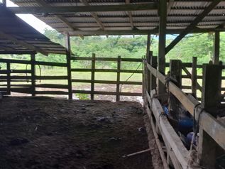 Finca en venta en Aguas Claras en Aguas Claras, Upala, Alajuela — $280,000 - Foto 5 de 12