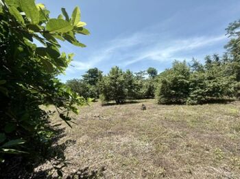 Venta de Lote en Orotina, Alajuela. RAH 26-87 in Coyolar, Orotina, Alajuela — 50 000 000 ₡ - Photo 5 of 10