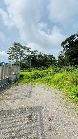 🌿 TERRENO EN VENTA EN BUENOS AIRES – CALLE LOS LAURELES in Guápiles, Pococí, Limón — ₡ 35 000 000 - Photo 2 of 4