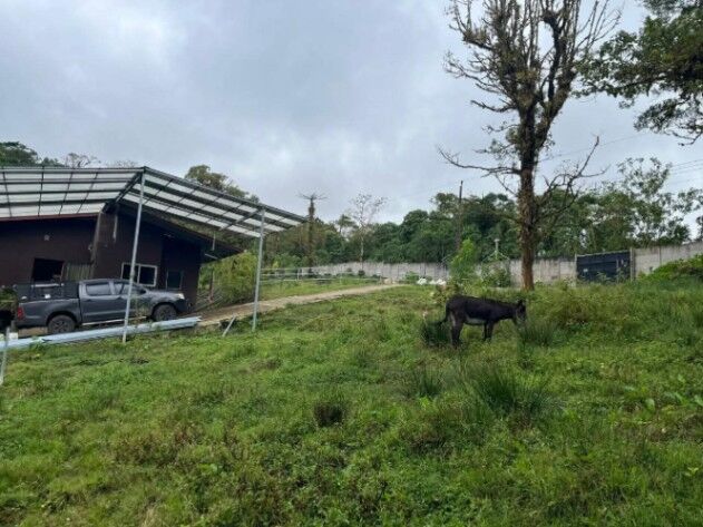 SE VENDE BELLEZA DE FINCA Y CASA CORONADO.  en San Isidro, Vázquez de Coronado, San José — ₡ 180 000 000