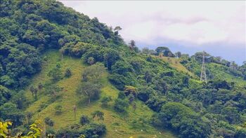 Finca en Venta San Mateo, San Mateo, Alajuela