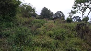 terreno 6203m2  Jaules de Cot in Cot, Oreamuno, Cartago — 32 000 000 ₡ - Photo 5 of 13