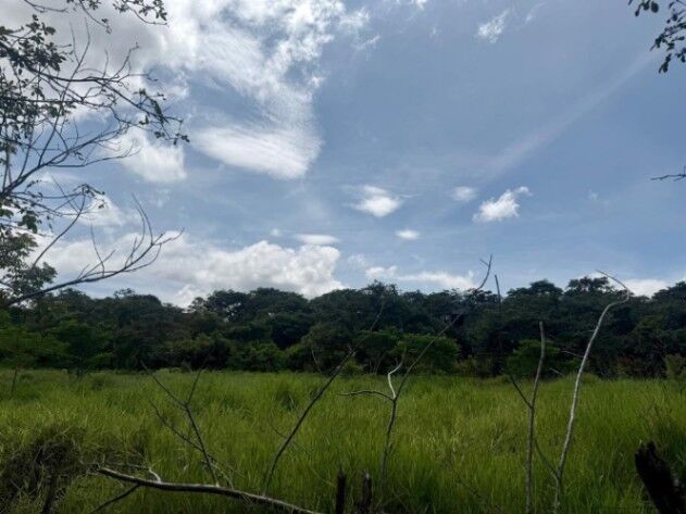 Lote Plano de 2,034 m². Exclusividad y Naturaleza en La Guácima #26-629 GS en Guácima, Alajuela — $201,278