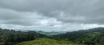 Farm For Sale Sierpe, Osa, Puntarenas