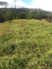 Venta de Lote en Tilarán | 11.694 m²  posibilidad crear 14 lotes in Tierras Morenas, Tilarán, Guanacaste — $150,000 - Photo 4 of 6