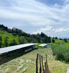 VENTA - FINCAS DE 49 HA EN POAS - FINANCIAMIENTO DIRECTO CON EL 30% DE PRIMA in San Pedro, Poás, Alajuela — $2,400,000 - Photo 3 of 11