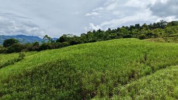 VENTA DE FINCA DE 2.5 HA CON VISTA A LA MONTAÑA EN GENERAL VIEJO, PEREZ ZELEDON in San Isidro De El General, Pérez Zeledón, San José — $118,490 - Photo 5 of 16