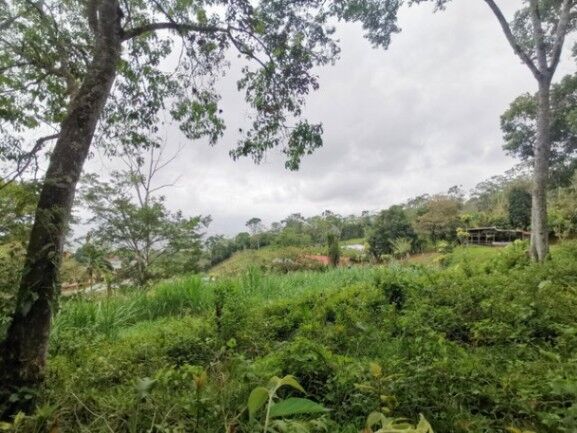 MLS-25-1085 VENTA LOTE SAN JUAN TURRIALBA in Turrialba, Cartago — $375,500