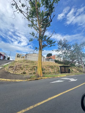 SE VENDE EN AYARCO SUR LOTE EN CALLE PRINCIPAL en Curridabat, San José — $253,125 - Foto 3 de 7