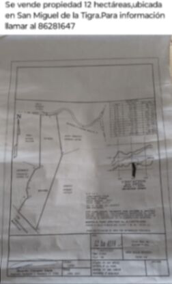 Se vende finca de 12 hectáreas bosque primario. en La Tigra, San Carlos, Alajuela — $140