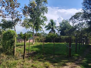 Lote plano de 632 m² para construcción - Concepción, Atenas en Concepción, Atenas, Alajuela — 39 000 000 ₡ - Foto 2 de 19