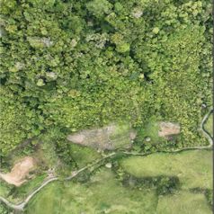 VENTA DE LOTE DE 12 HECTÁREAS, TUCURRIQUE, CARTAGO en Tucurrique, Jiménez, Cartago — $150,000 - Foto 2 de 5