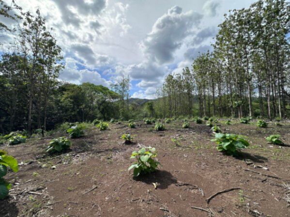 Venta de Lote en Nicoya, Guanacaste. RAH 25-1990 in Nicoya, Guanacaste — $60,000