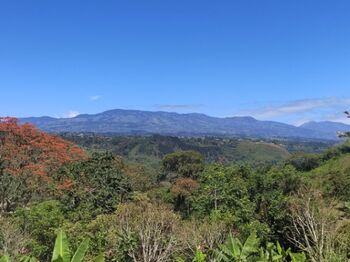 ¡Se vende hermosa finca en ubicación privilegiada! “El Bambú” Paraíso- Orosi en Orosi, Paraíso, Cartago — $85,000 - Foto 5 de 12