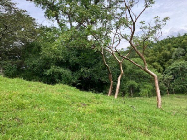 ATENCIÓN INVERSIONISTAS : ESPECTACULAR FINCA EN ATENAS, ALAJUELA.  in Atenas, Alajuela — $1,000,000