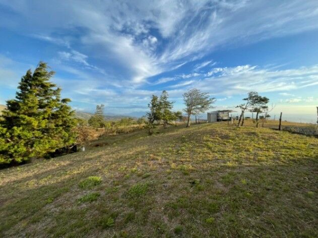 🌿 Lote en Venta – San Ramón, Alajuela en Piedades Sur, San Ramón, Alajuela — ₡ 3 200 000
