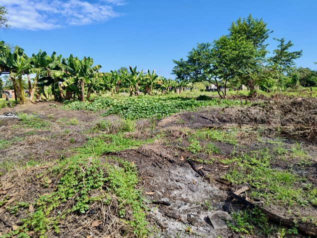 Terreno 4200 m² para desarrollo cerca de Playa Palo Seco, Parrita en Parrita, Puntarenas — $248,000 - Foto 2 de 12