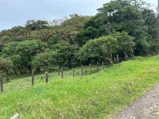 Venta de Lote en Palmital de Puntarenas. RAH 26-15 en Colinas, Buenos Aires, Puntarenas — 202 369 000 ₡ - Foto 2 de 6