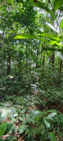 Gran oportunidad de inversión en finca ganadera y ecoturística en Coto Brus, Puntarenas, Costa Rica. in Limoncito, Coto Brus, Puntarenas — ₡ 1 468 000 000