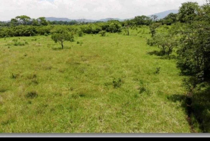 VENTA TERRENO EN LA CRUZ GUANACASTE SOBRE RUTA INTERMERICANA en La Cruz, Guanacaste — $250,000 - Foto 2 de 11
