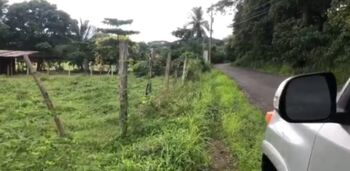 Lote en Venta San Juan Grande, Esparza, Puntarenas