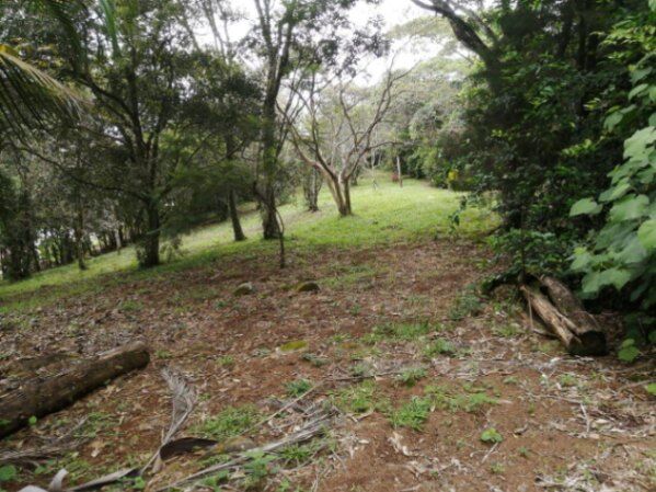 Venta de Lote en Puriscal, San José. RAH 26-164 en Grifo Alto, Puriscal, San José — $90,000