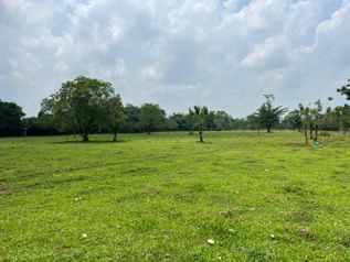 Se Vende Bella Finca en San Rafael de Guápiles.